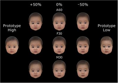 Frontiers | Creation and Validation of the Japanese Cute Infant